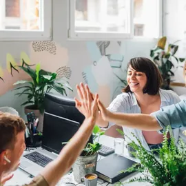 Flexso experts in sap 3