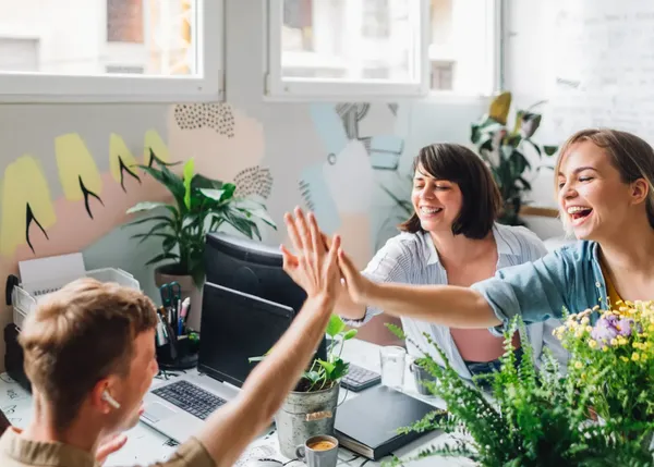 Flexso experts in sap 3