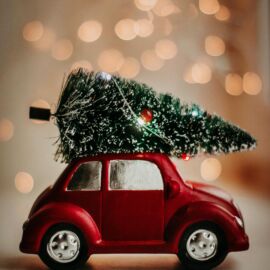 Pexels kpaukshtite 3444345