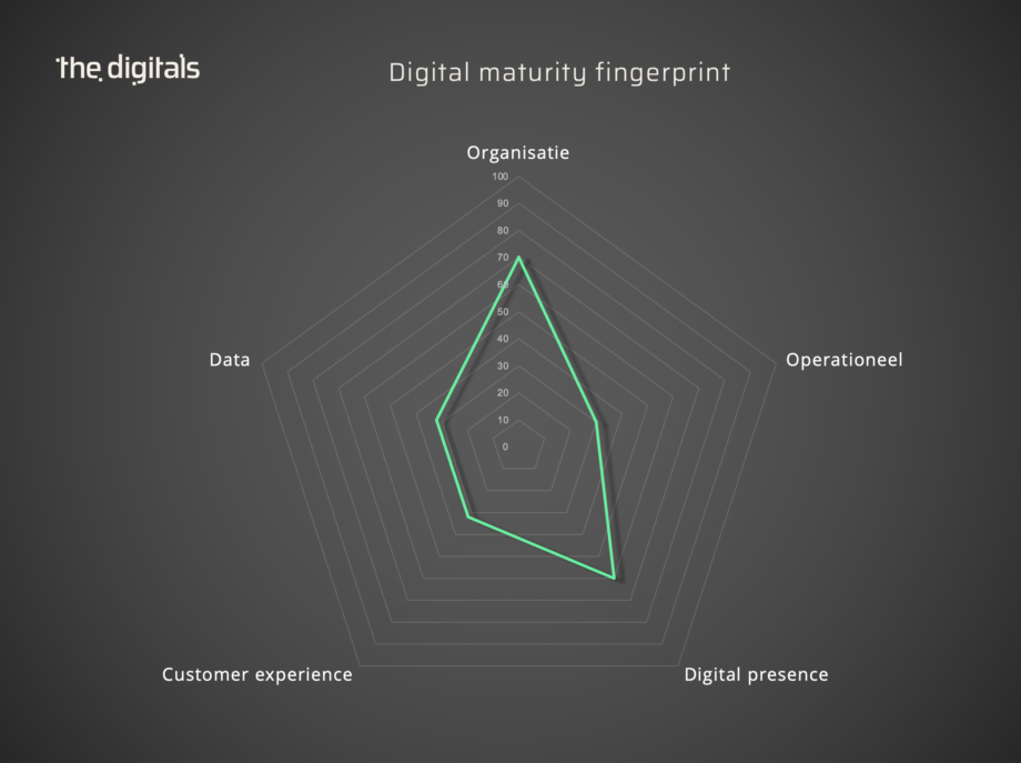 The digitals digital maturity audit